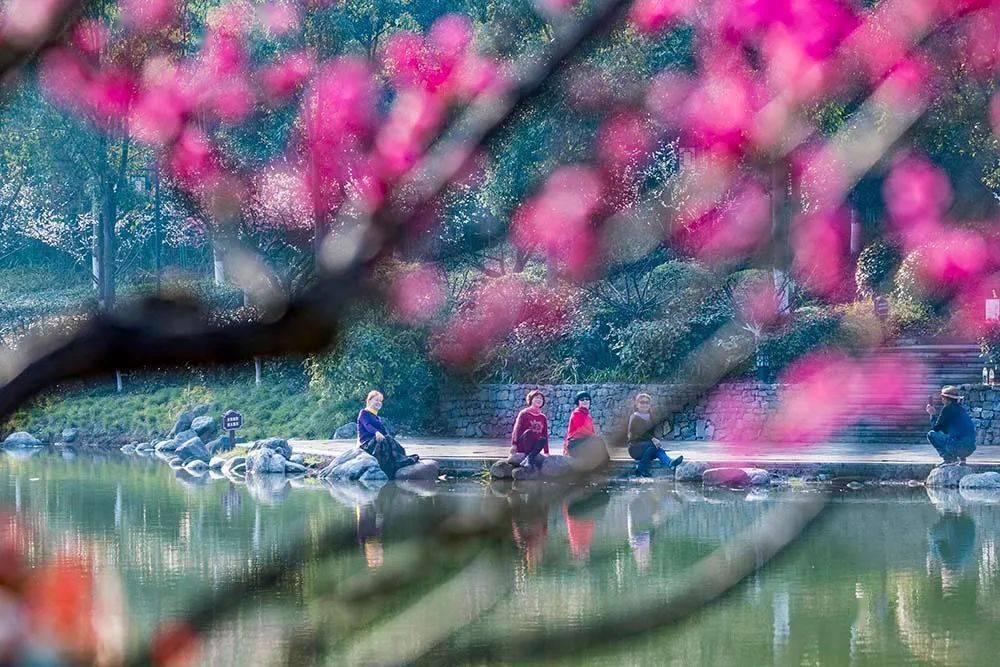 张若昀、吴刚王阳再次合作，《显微镜下的大明》成为爆款的几率有多大？游戏画面