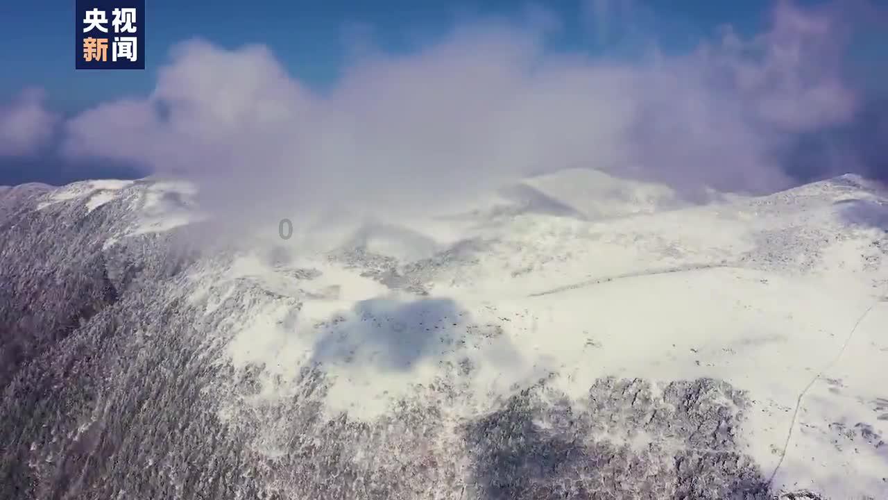 月光影视