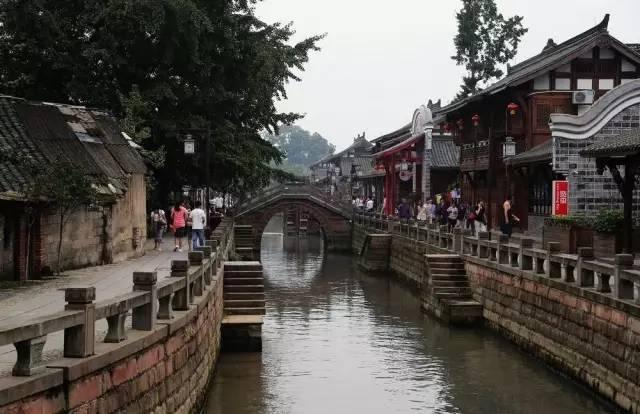 寻找沙漠珍宝